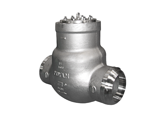 08-cryogenic-pressure-seal-bonnet-swing-check-valve