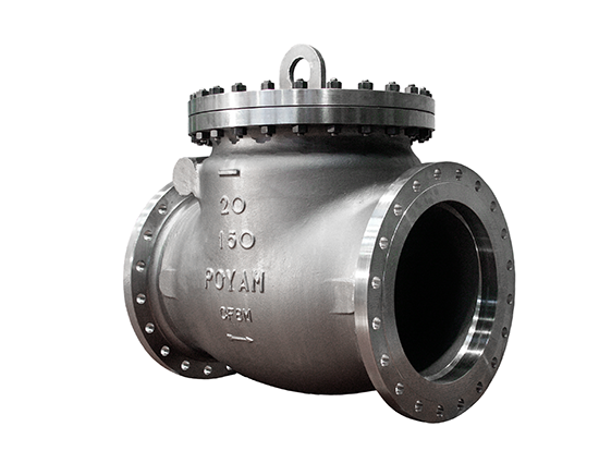 09-cryogenic-bolted-bonnet-swing-check-valve