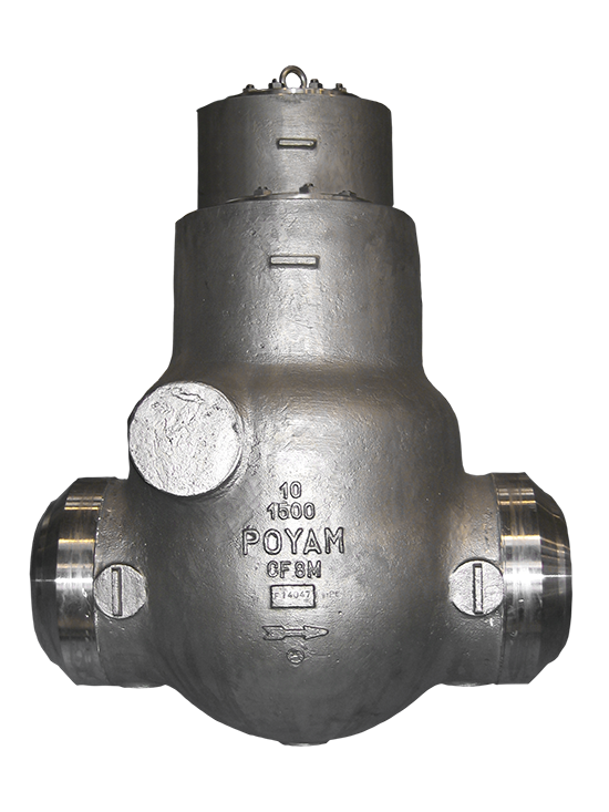 30-pressure-seal-bonnet-swing-check-valve-copia