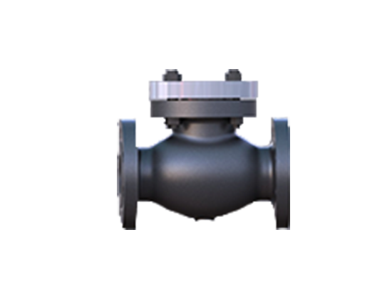 33-bolted-bonnet-piston-check-valve-copia