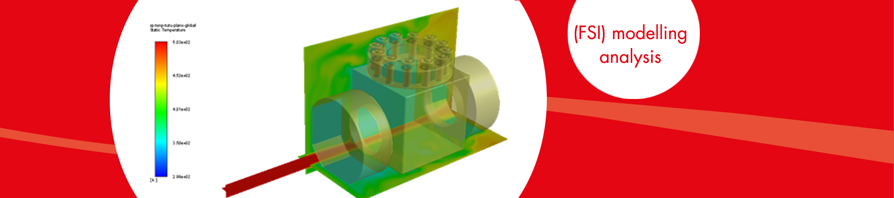 AMPO POYAM VALVES_FSI modelling_