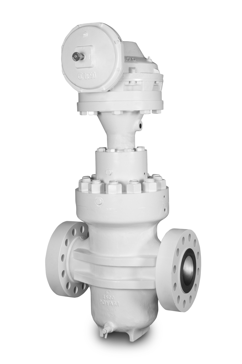 Through Conduit Double Expanding gate valve Ampo